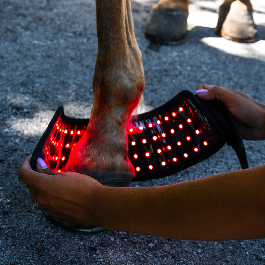 Red light Bell Boot